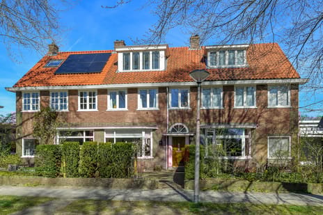 Mesdaglaan thumbnail