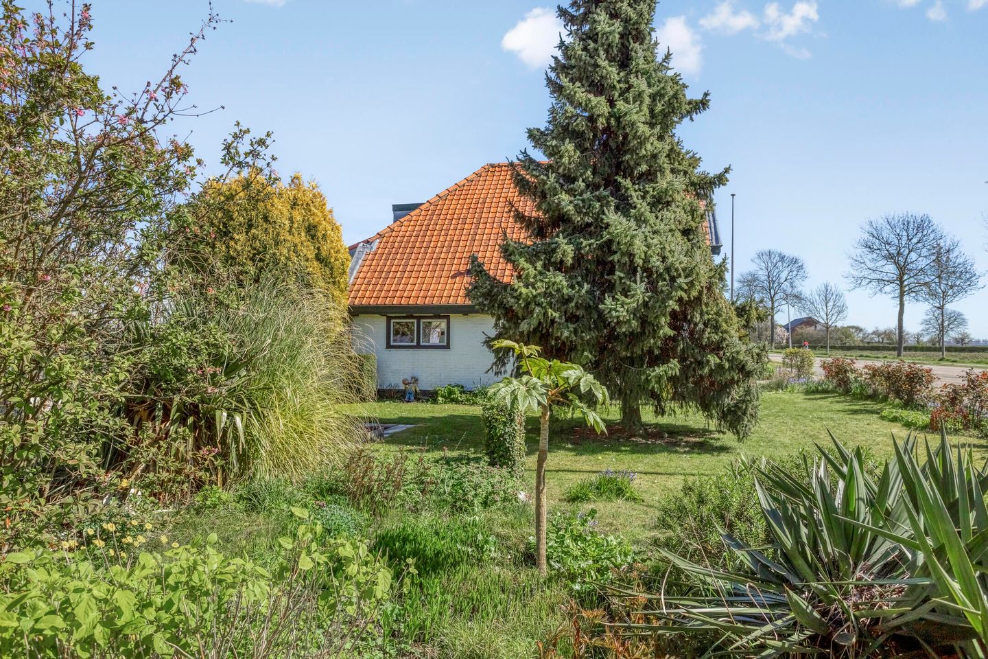 Foto 35 van Veerstraat 47