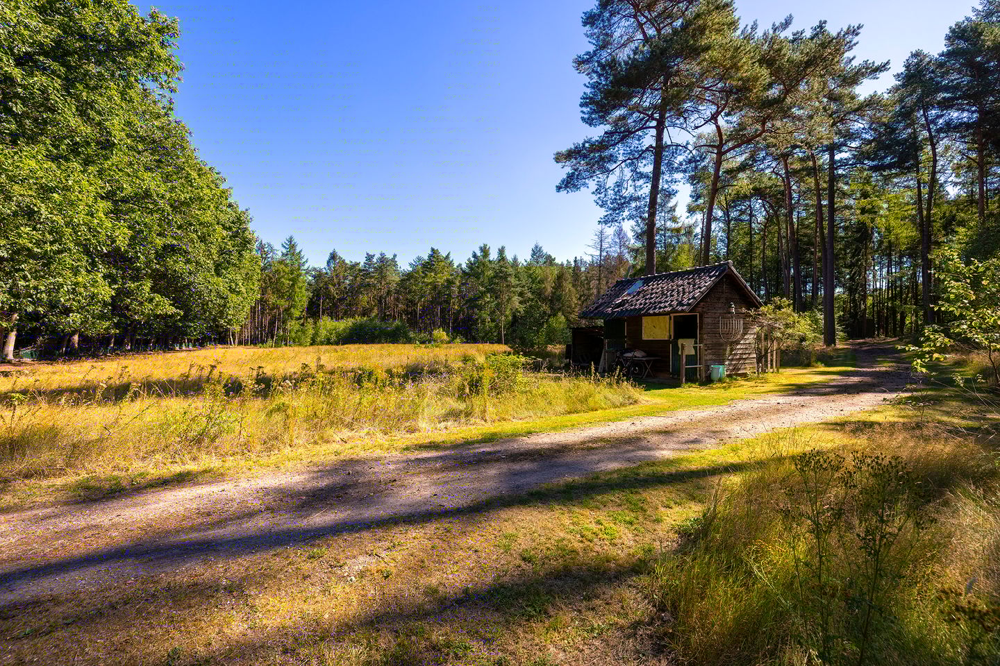 Foto 64 van Lichttorenweg 12