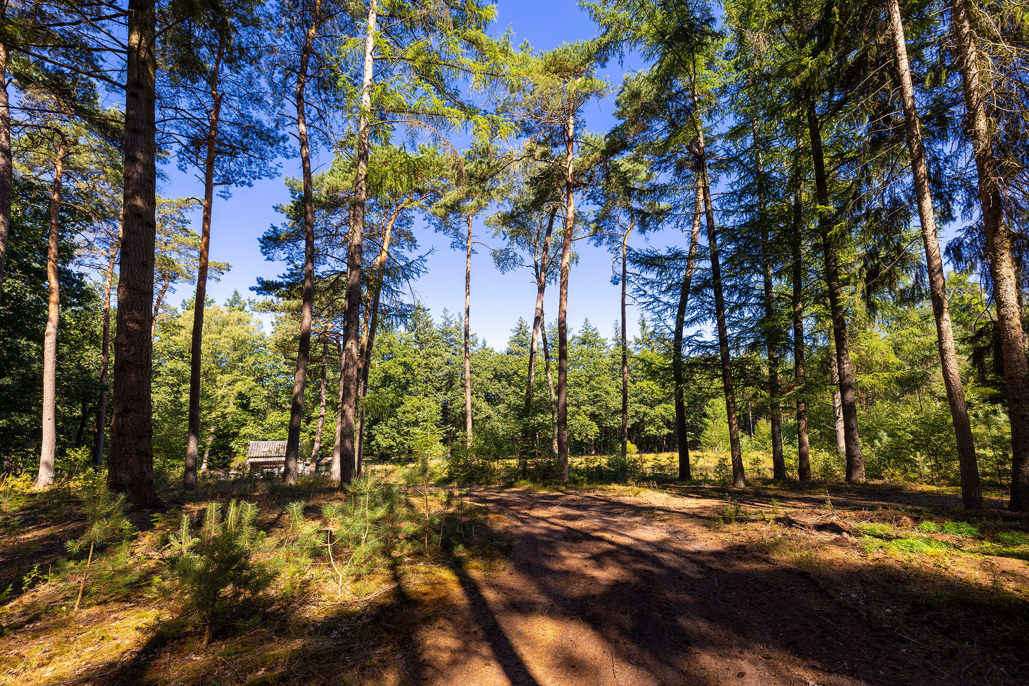 Foto 66 van Lichttorenweg 12