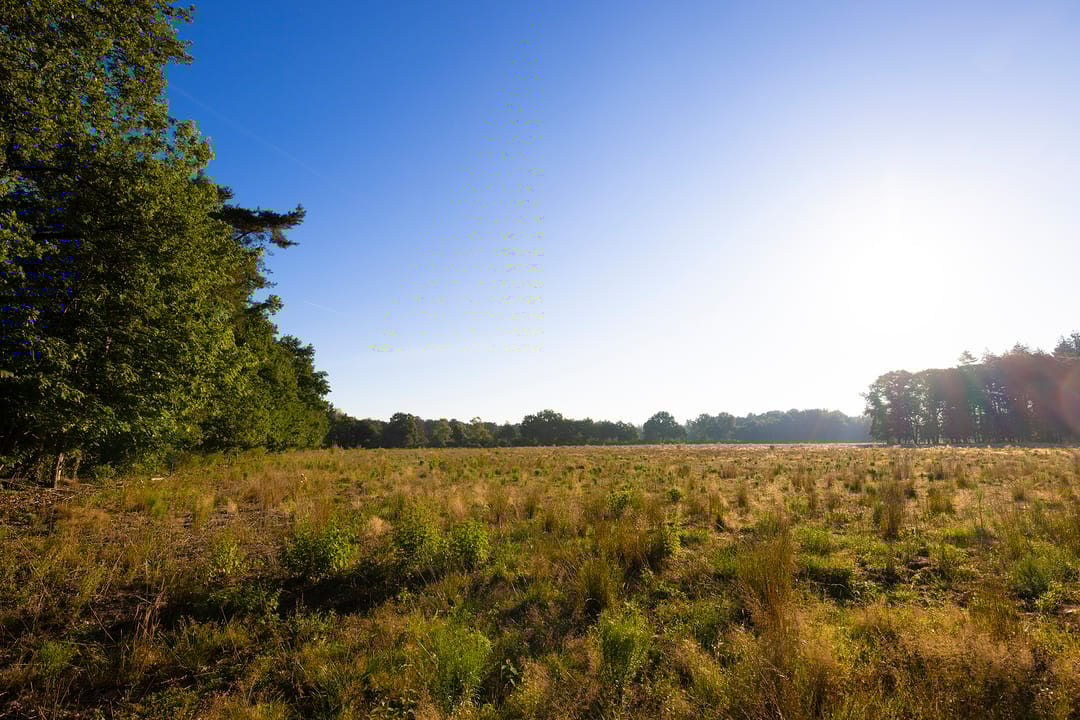 Foto 68 van Lichttorenweg 12