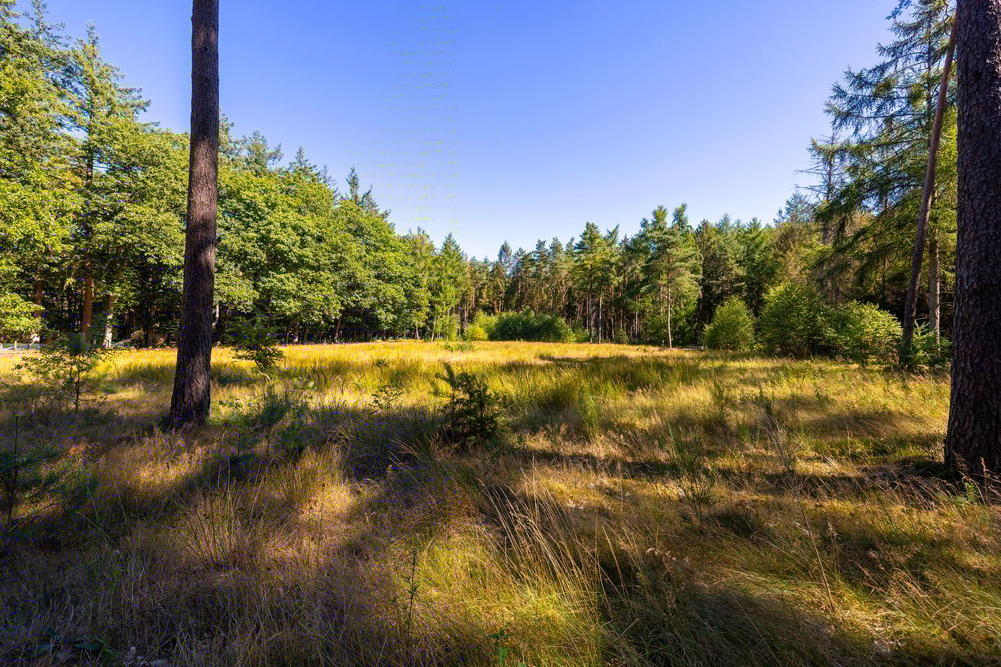 Foto 65 van Lichttorenweg 12