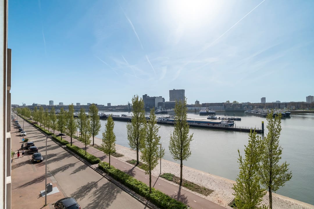 Foto 7 van Maashaven N.z. 561