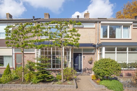 Jacob Catslaan thumbnail