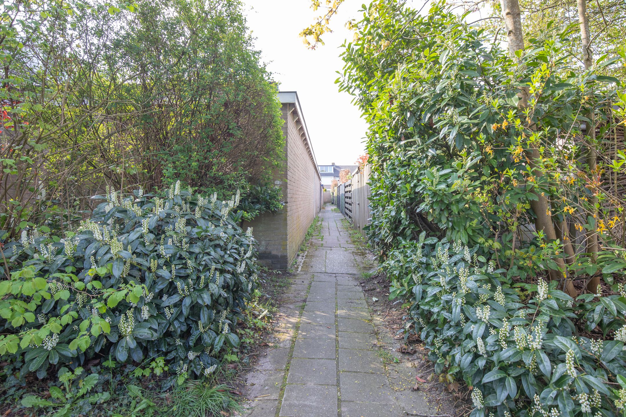 Foto 36 van Jacob Catslaan 4