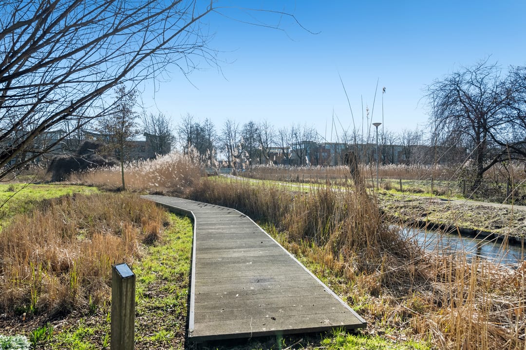 Foto 32 van Rommepad 16