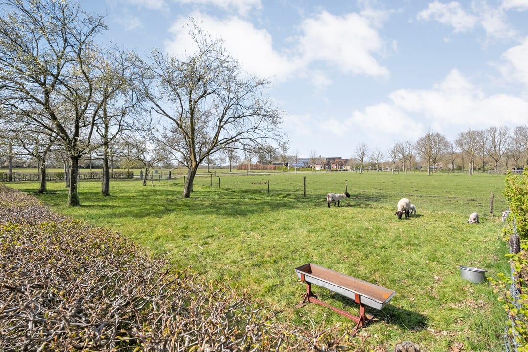 Photo 43 of Ommerweg 45