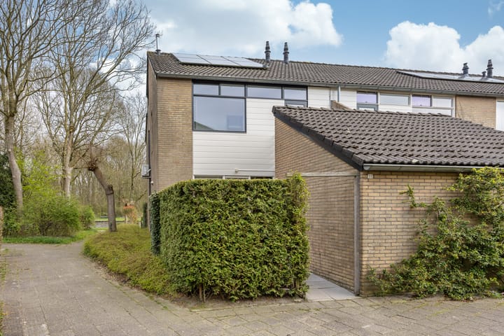 Foto 5 van Hoornbloem 11