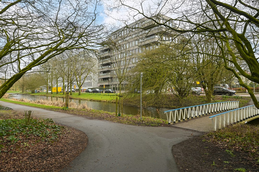 Foto 41 van Stadhoudersplantsoen 22