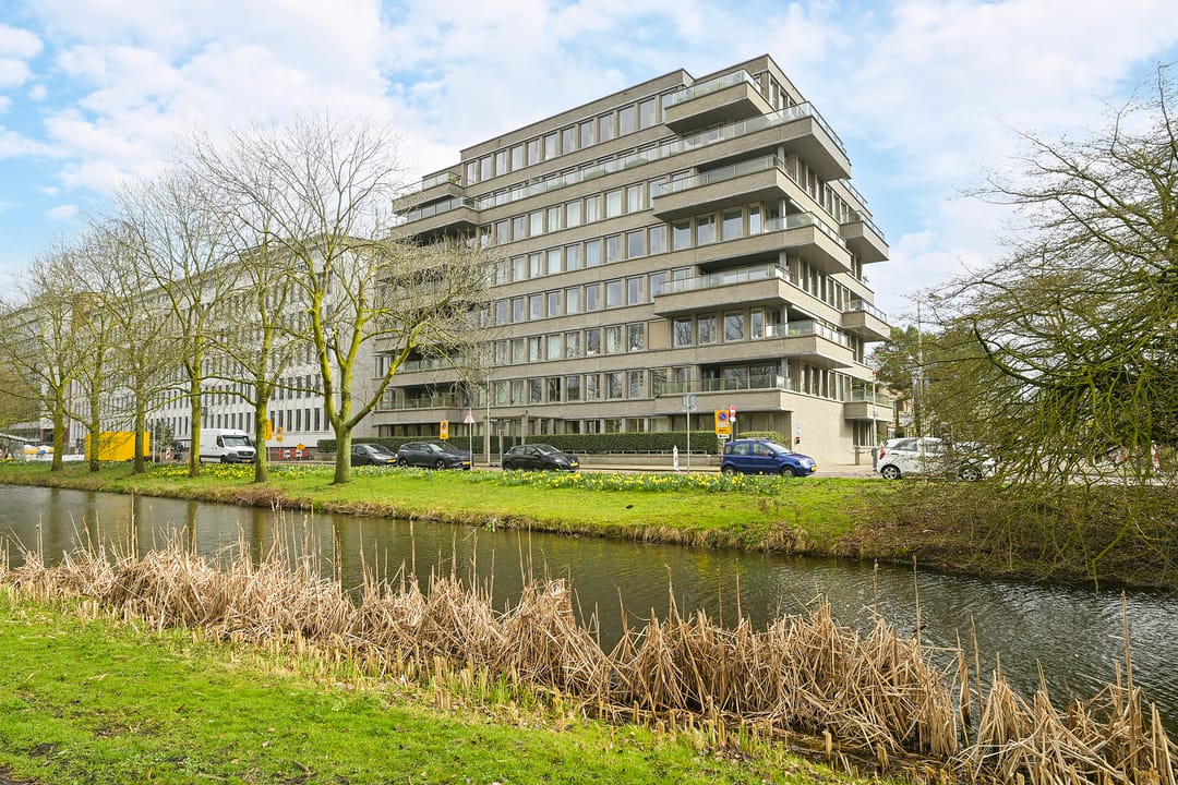 Foto 38 van Stadhoudersplantsoen 22