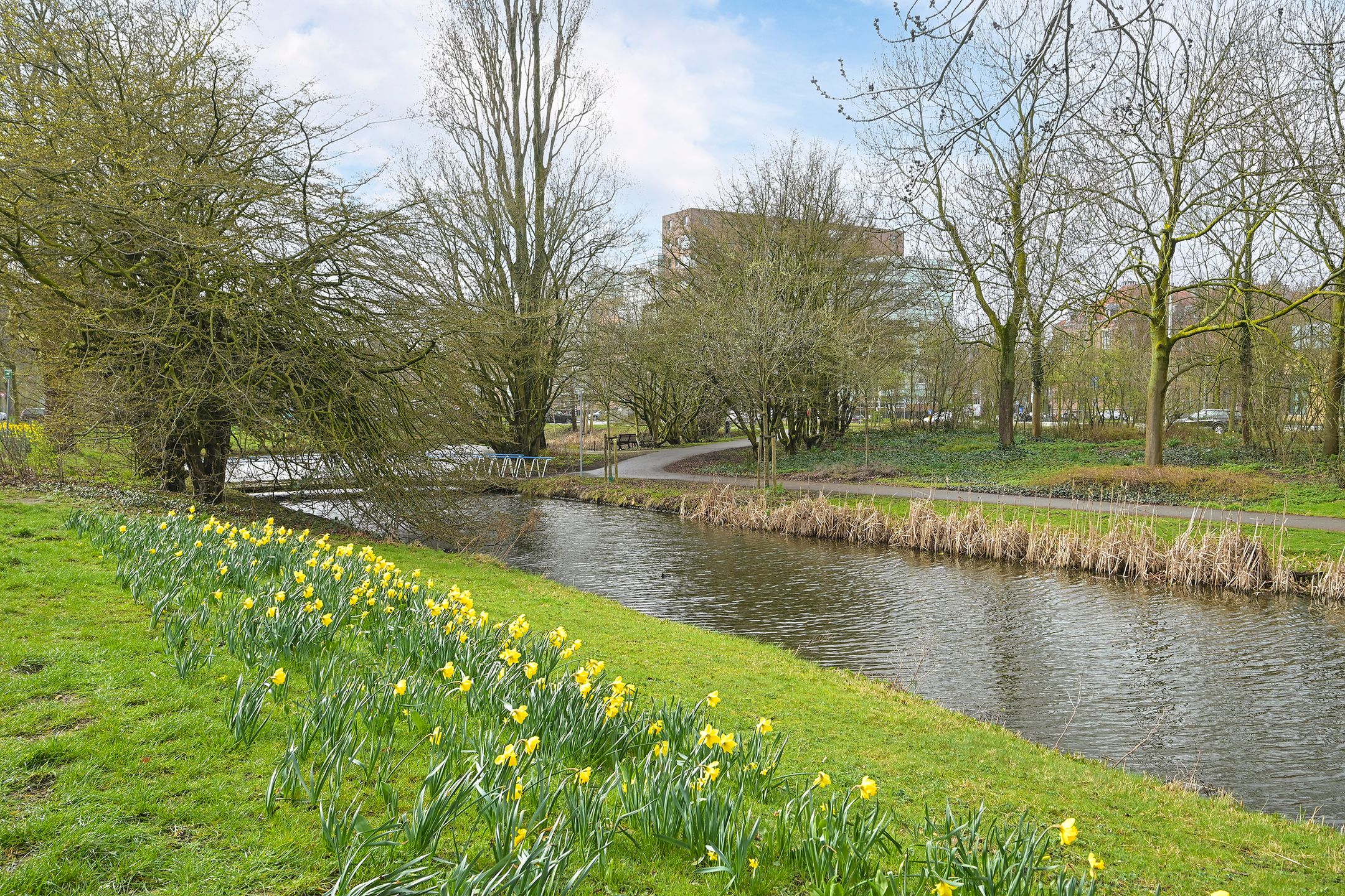 Foto 42 van Stadhoudersplantsoen 22