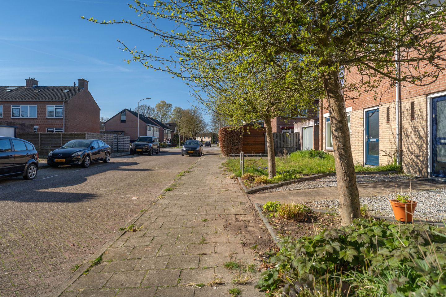 Foto 35 van Rozemarijnstraat 3