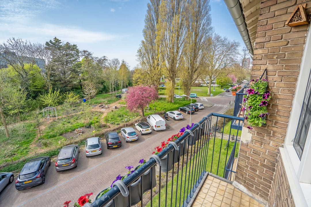 Foto 43 van van Zegwaardstraat 294