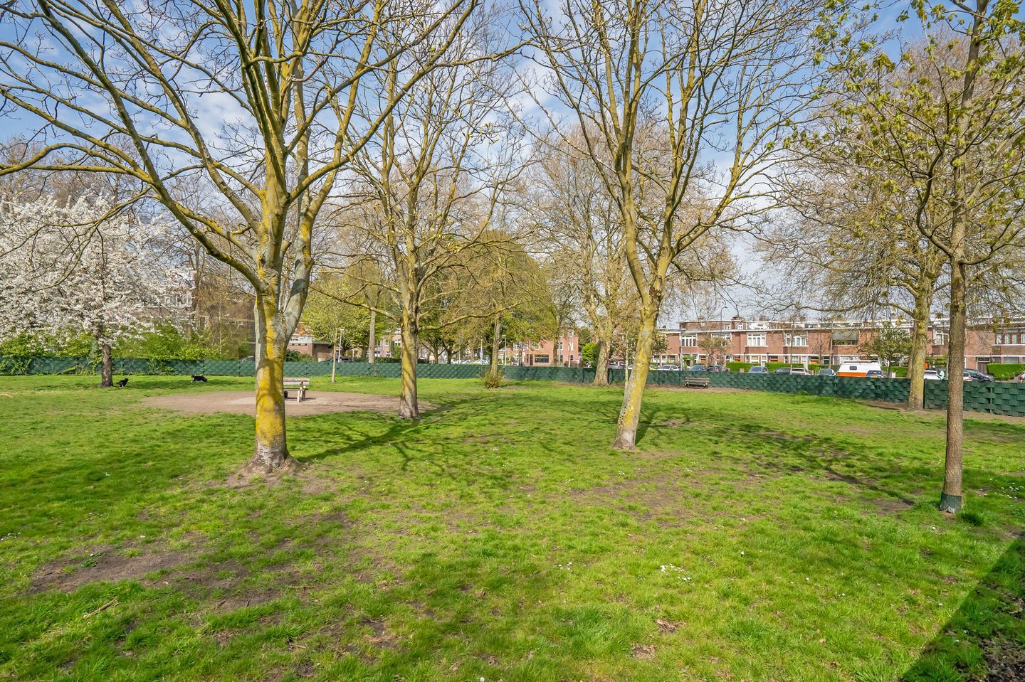 Foto 44 van van Zegwaardstraat 294