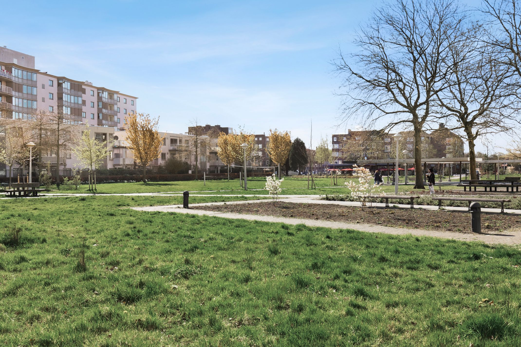 Foto 18 van Bos en Lommerplantsoen 43-F