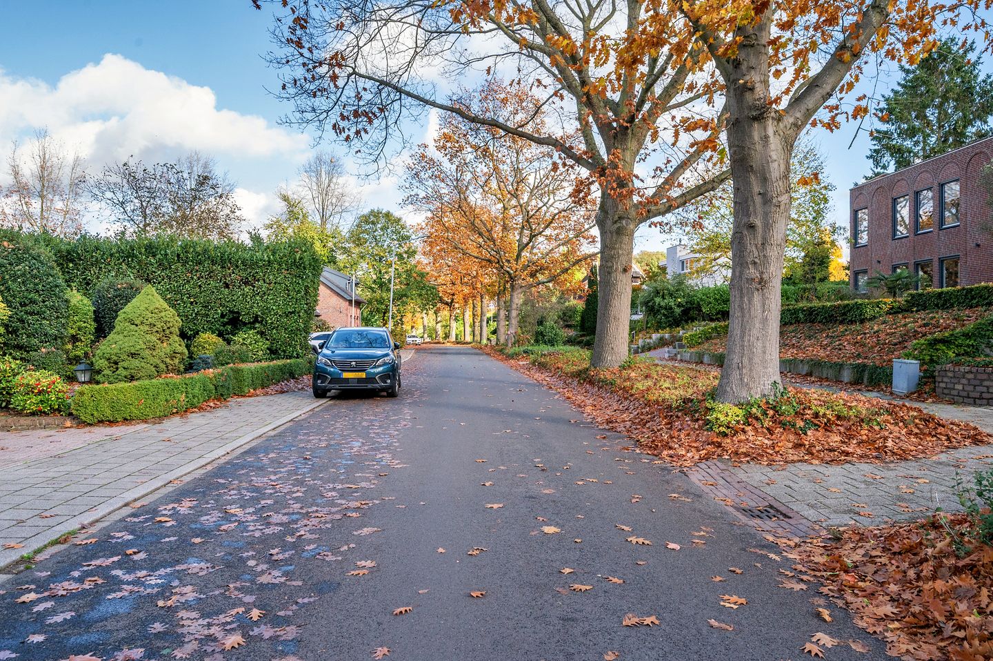 Photo 80 of Waterleidingsingel 155