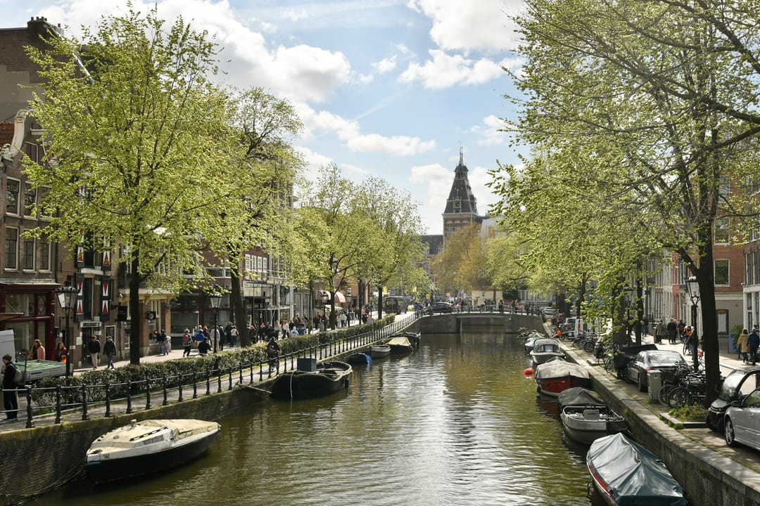 Foto 31 van Lange Leidsedwarsstraat 137-A