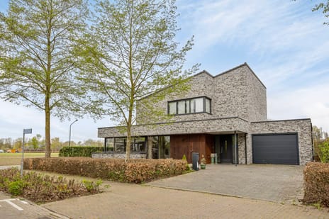 Jan de Vriesstraat thumbnail