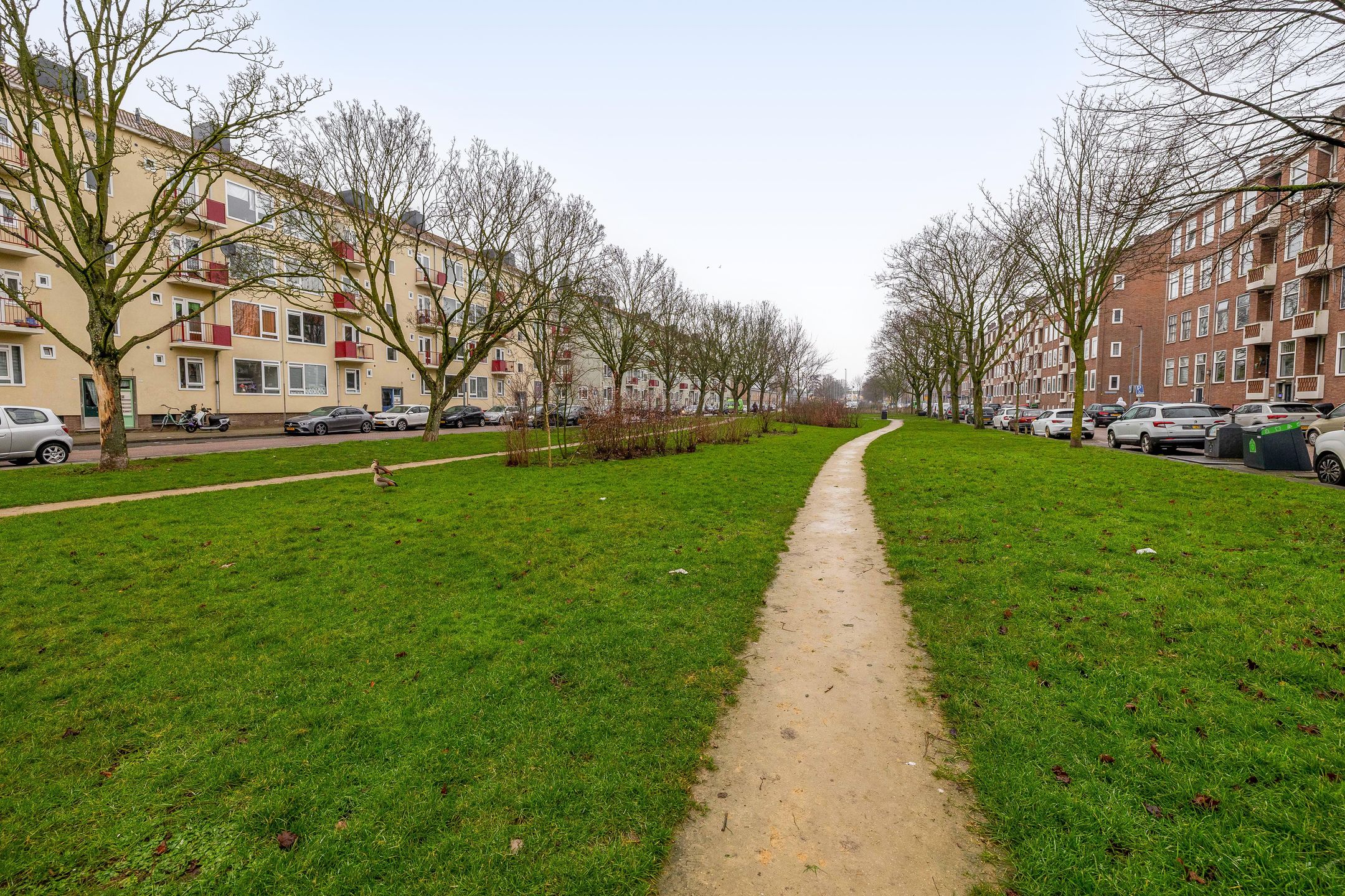 Photo 21 of Hogenbanweg 118-C