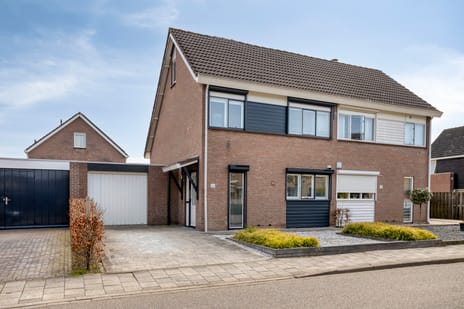 Roofvogelstraat thumbnail