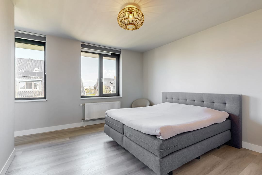 Foto 28 van Hazelnootlint 2