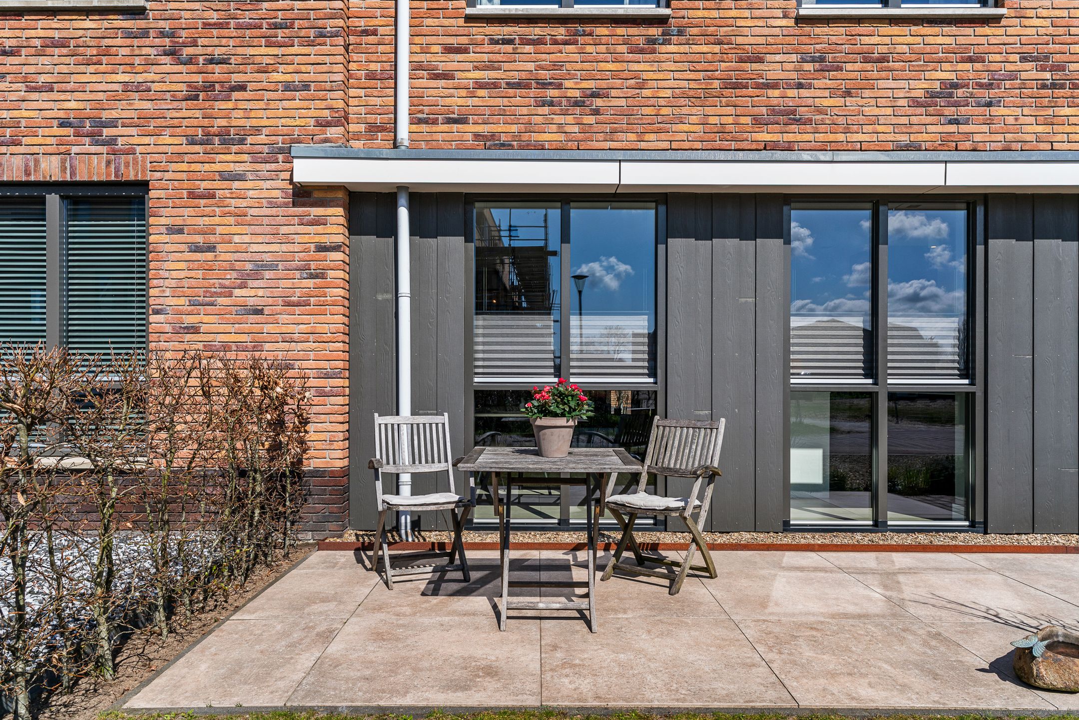 Foto 63 van Hazelnootlint 2