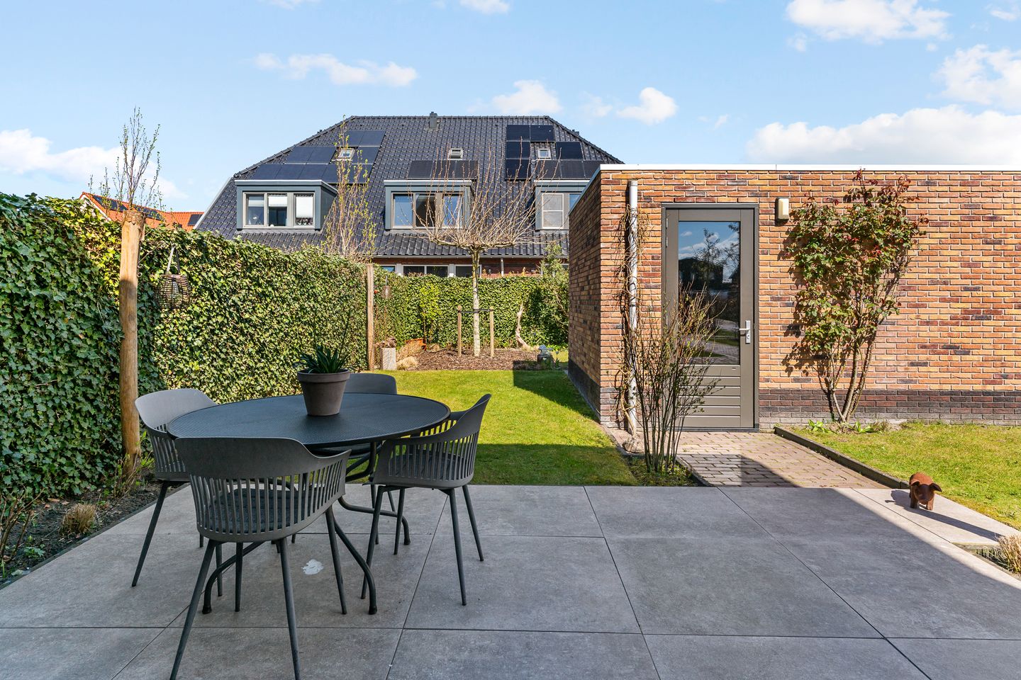 Foto 49 van Hazelnootlint 2