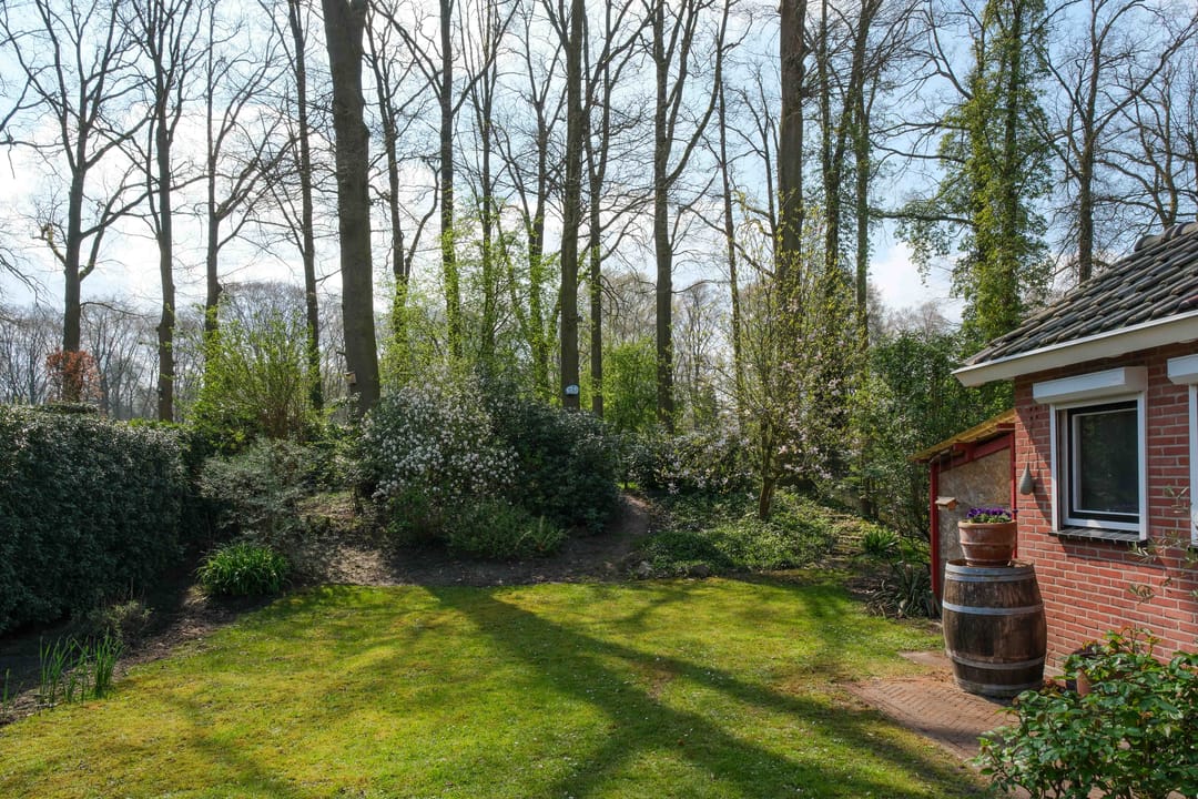 Photo 28 of De Peppelaar 16