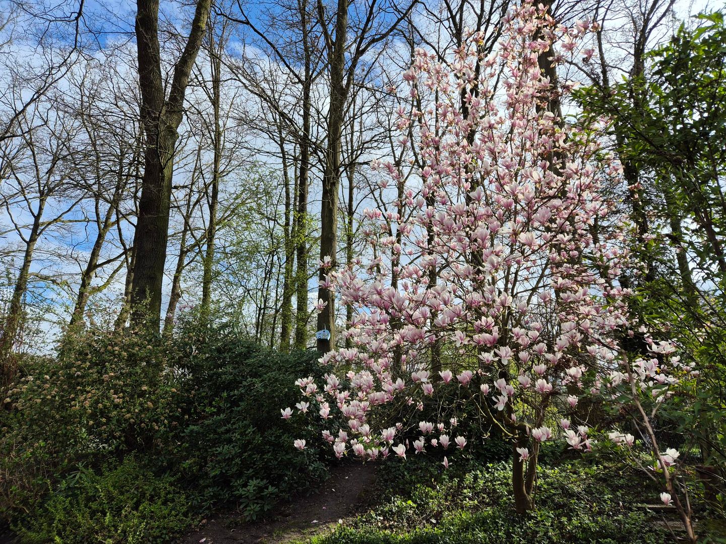 Photo 29 of De Peppelaar 16