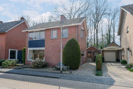 De Peppelaar thumbnail