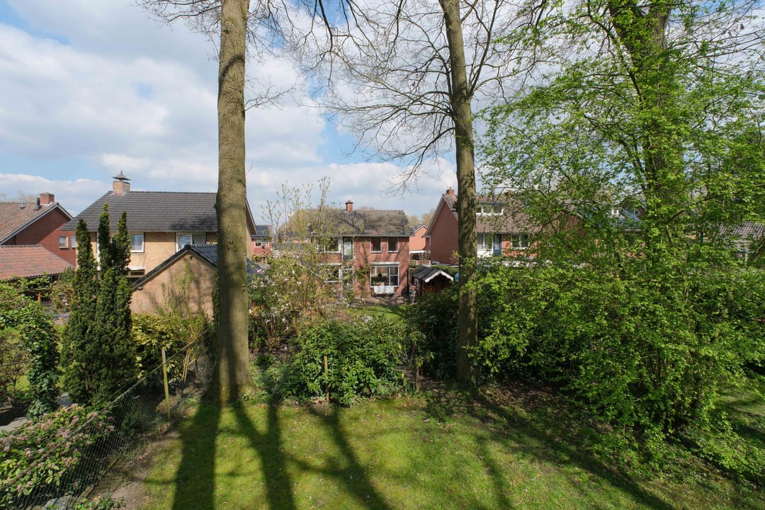 Photo 31 of De Peppelaar 16