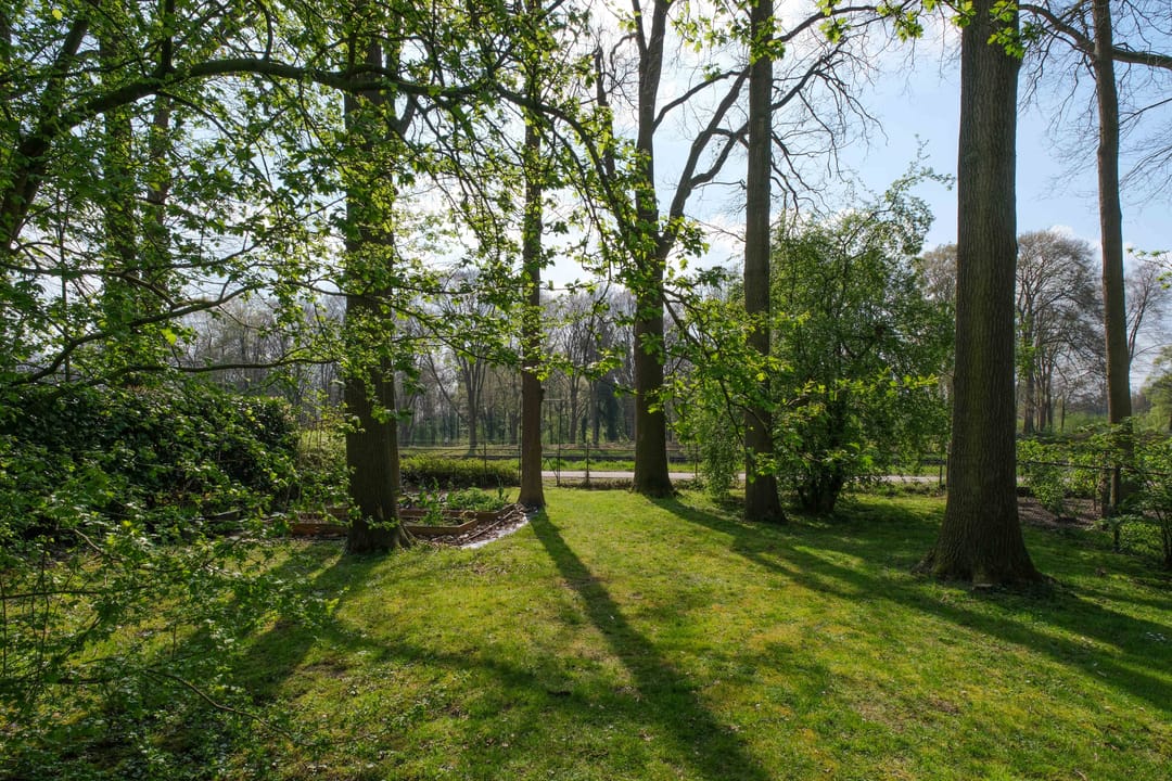 Photo 32 of De Peppelaar 16