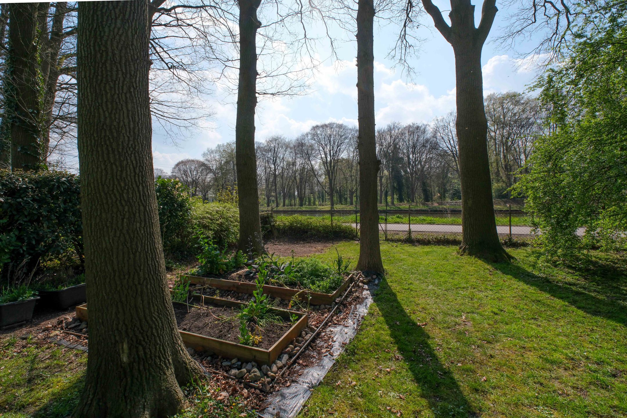 Photo 33 of De Peppelaar 16