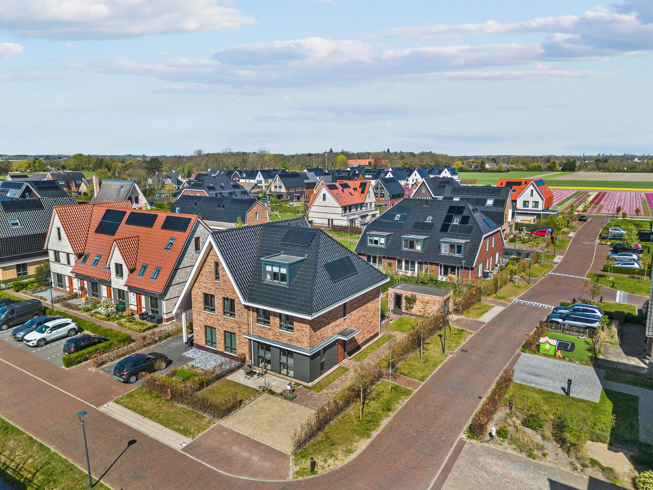 Foto 66 van Hazelnootlint 2