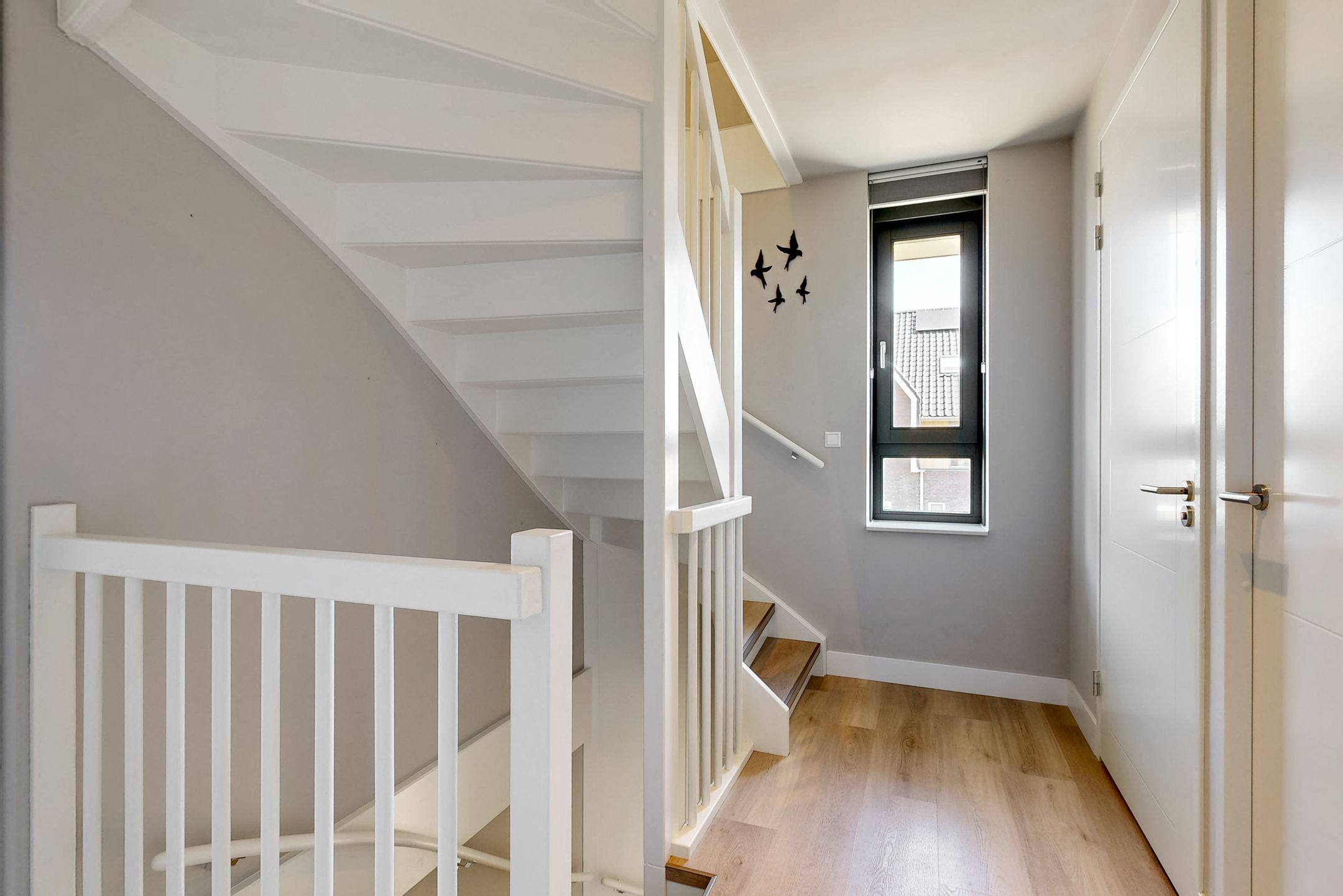 Foto 27 van Hazelnootlint 2