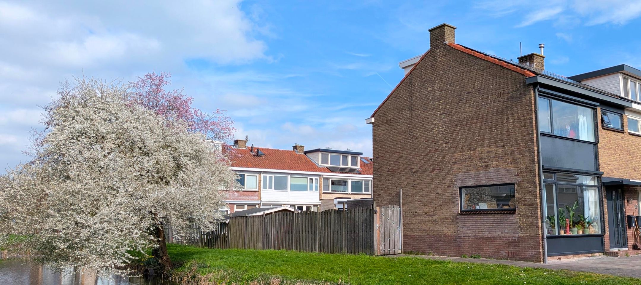 Photo 21 of Gravenstein 14