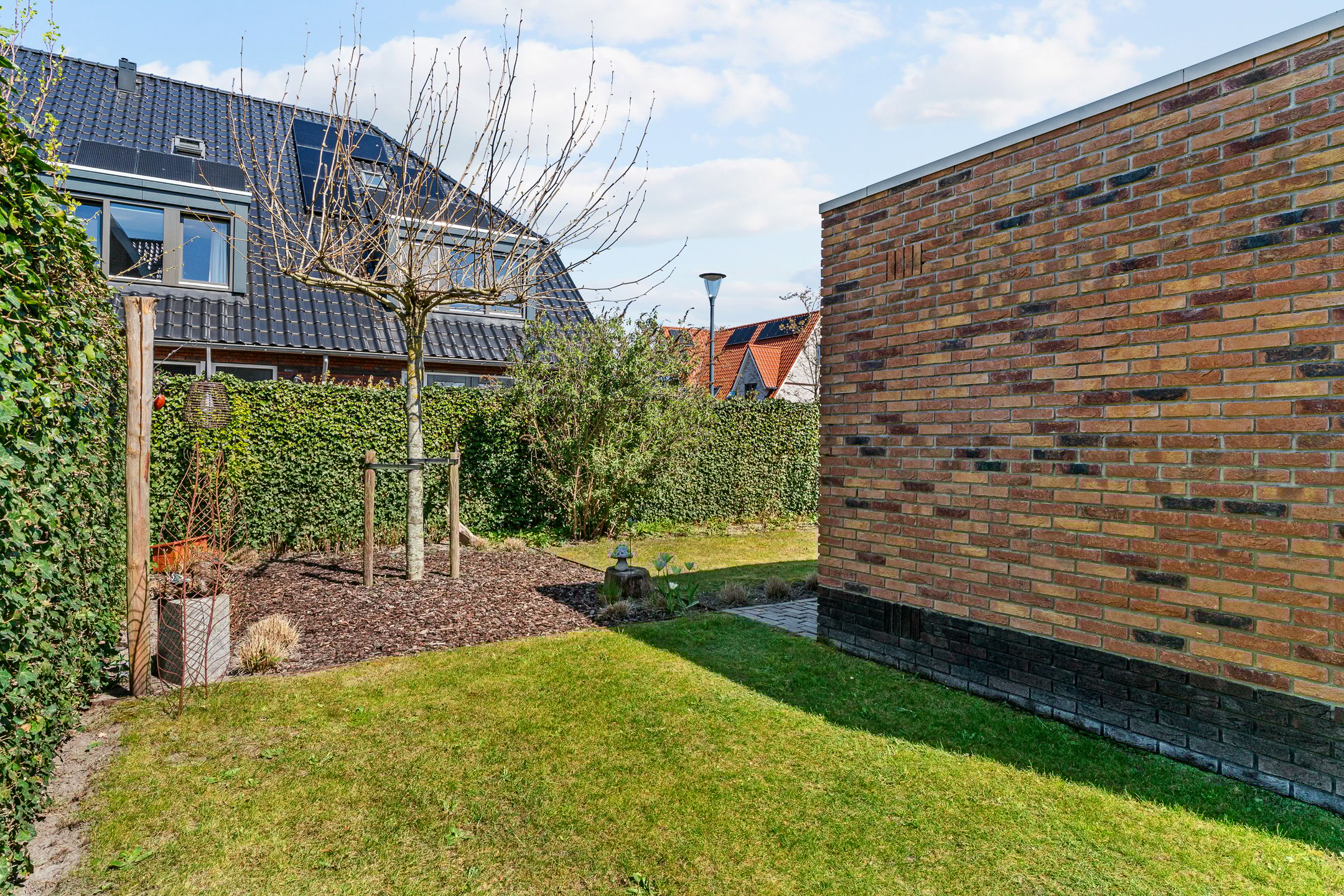 Foto 57 van Hazelnootlint 2