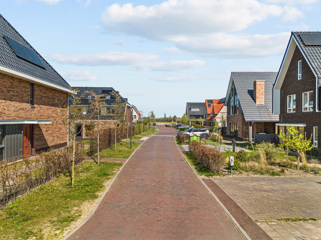 Foto 67 van Hazelnootlint 2