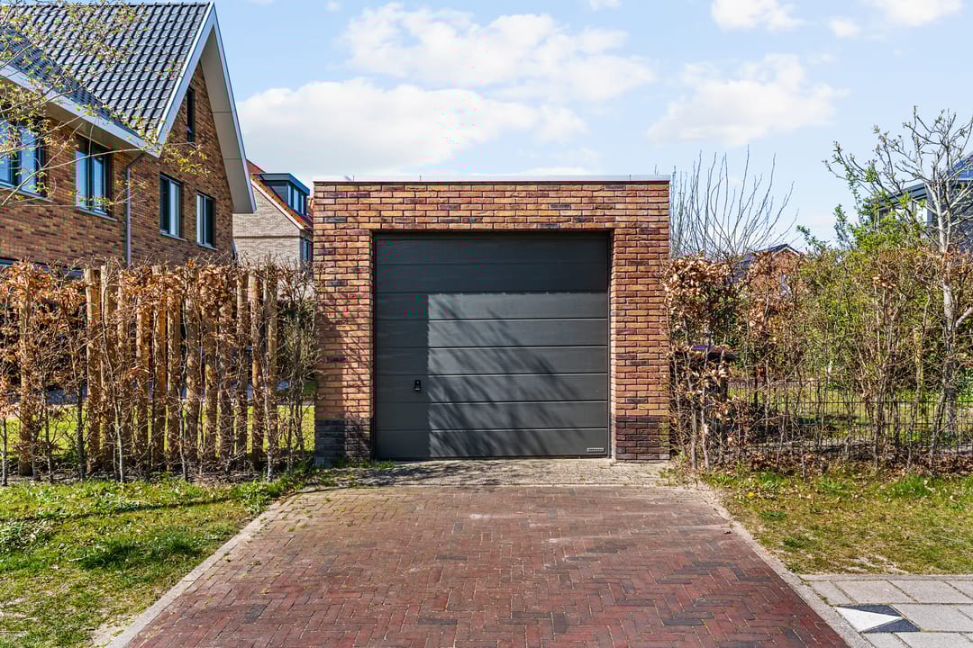 Foto 58 van Hazelnootlint 2