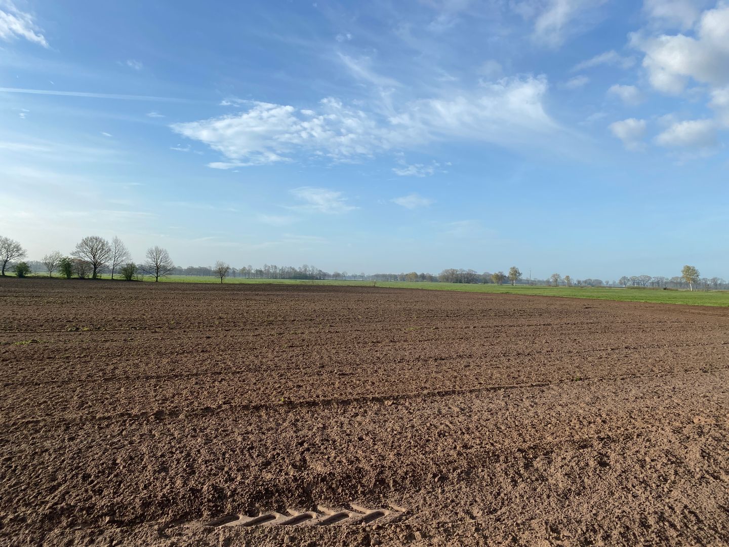 Bekijk foto 3 van Noorddijk