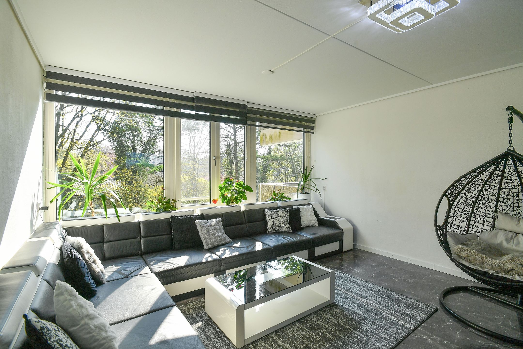 Foto 12 van Koningsberg 16