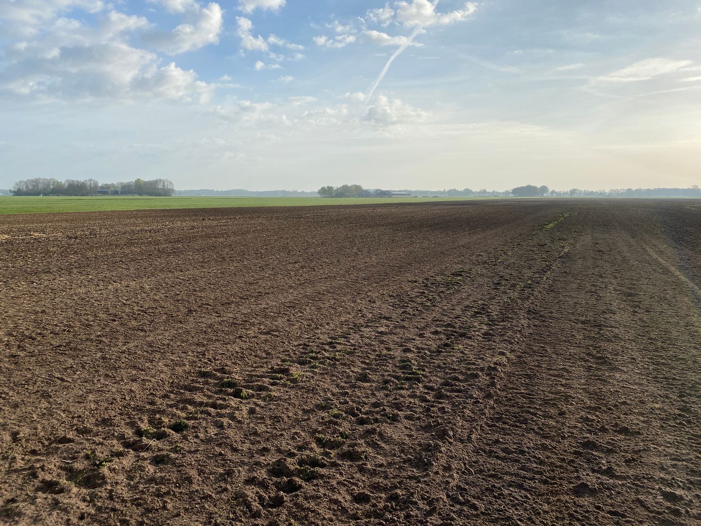 Bekijk foto 4 van Noorddijk