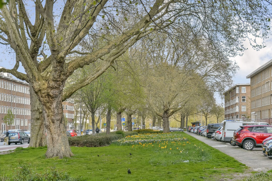 Foto 26 van Bos en Lommerweg 128-3