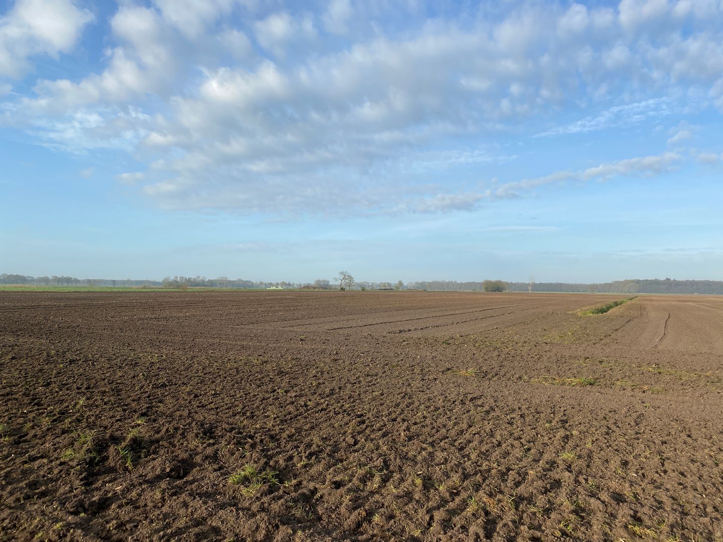 Bekijk foto 2 van Noorddijk