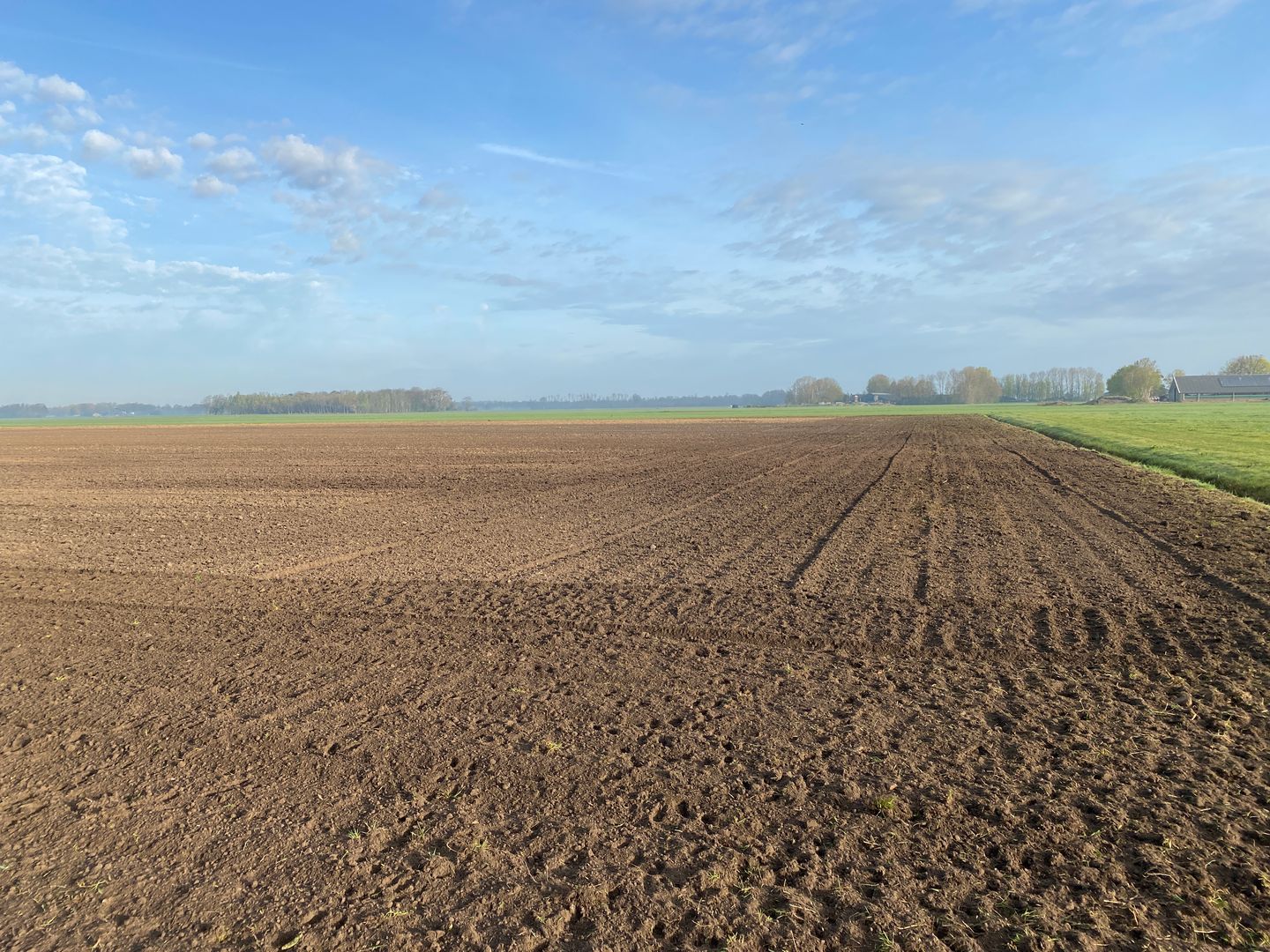 Bekijk foto 5 van Noorddijk