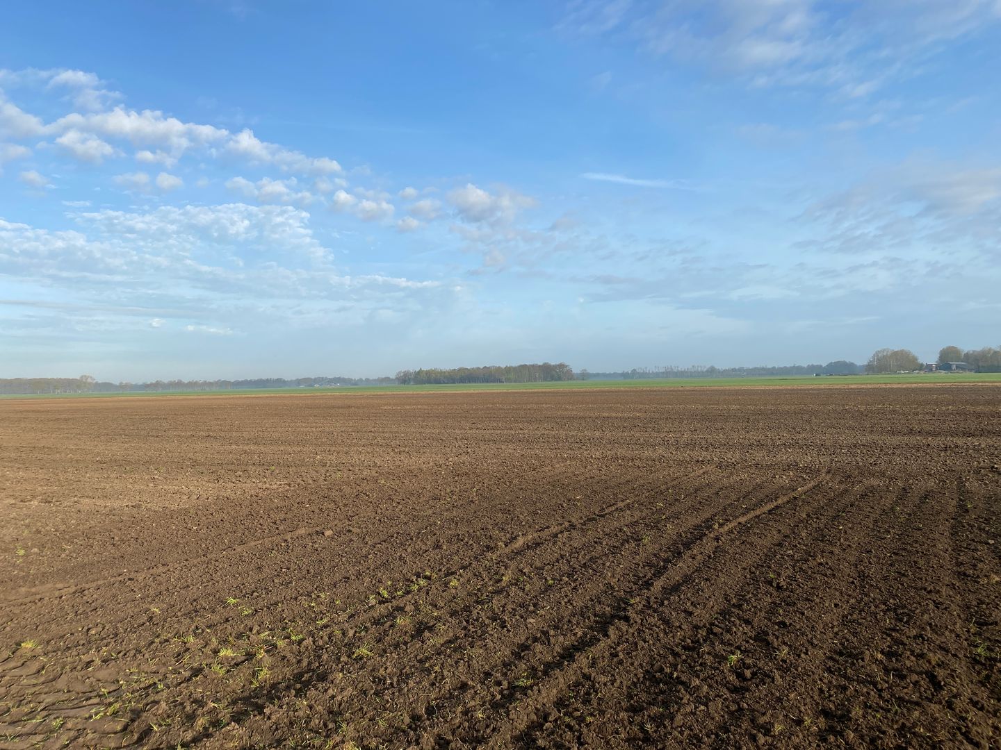 Noorddijk - Ansen (Gem. De Wolden) - Afbeelding 7