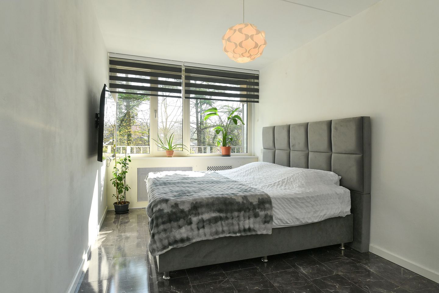 Foto 20 van Koningsberg 16