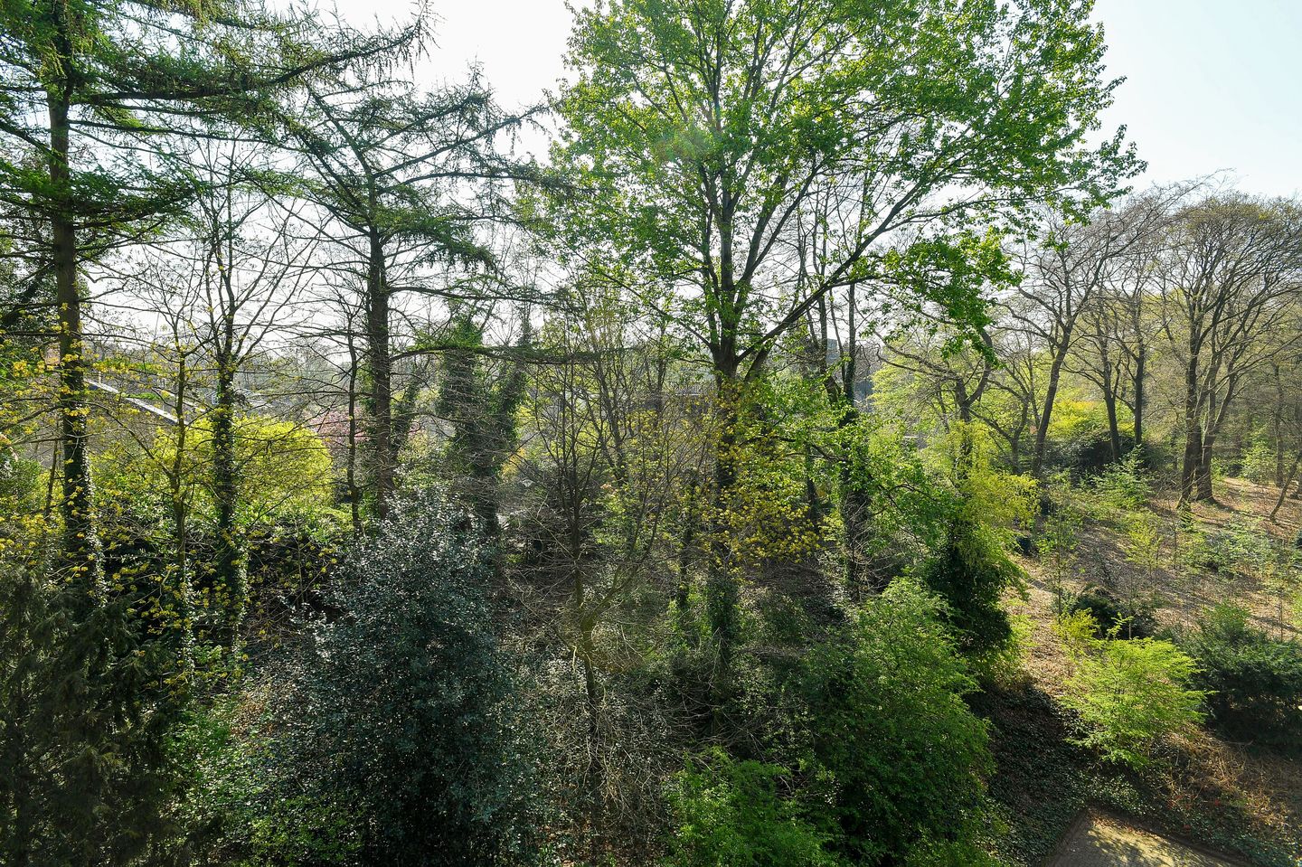 Foto 34 van Koningsberg 16