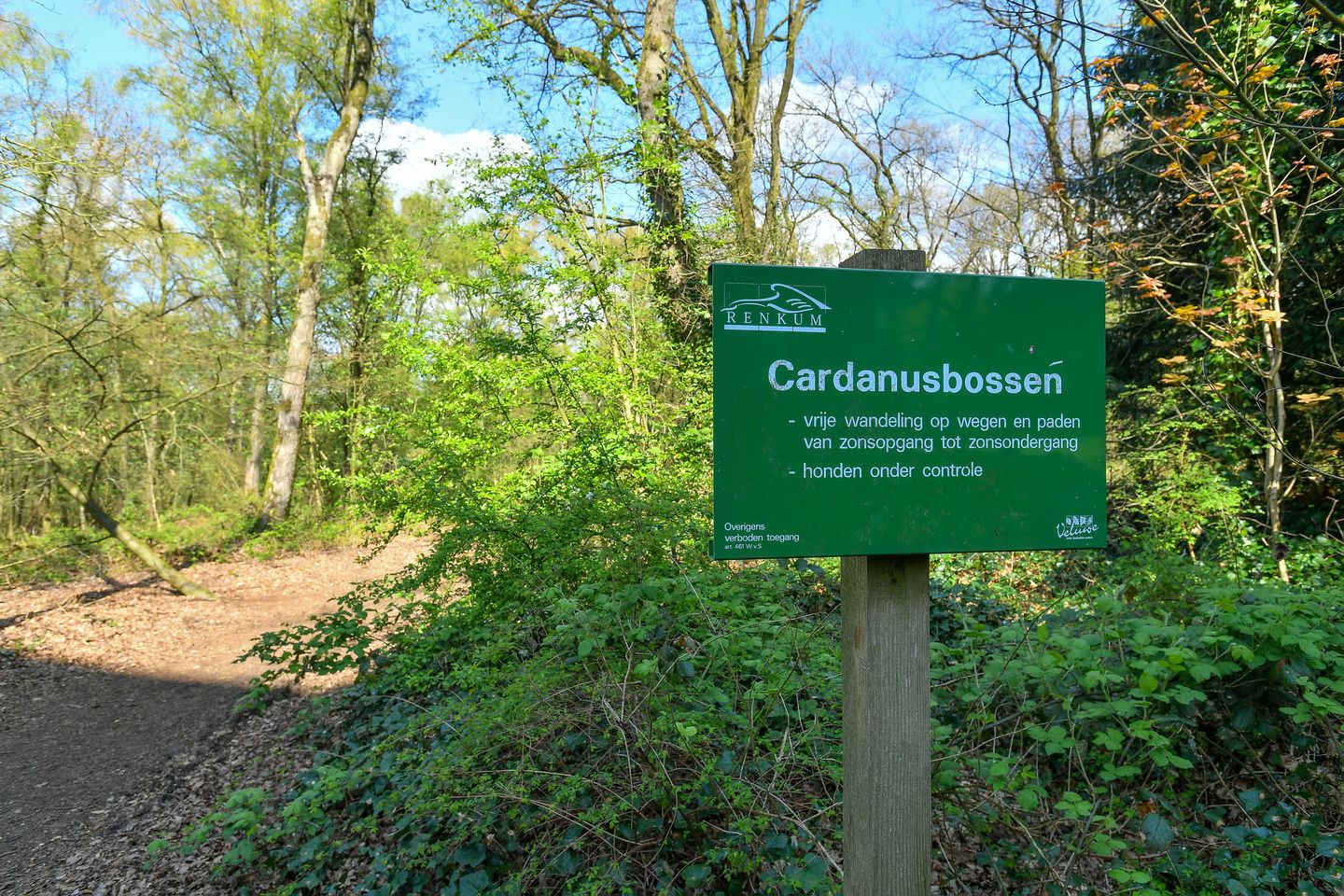 Foto 40 van Koningsberg 16