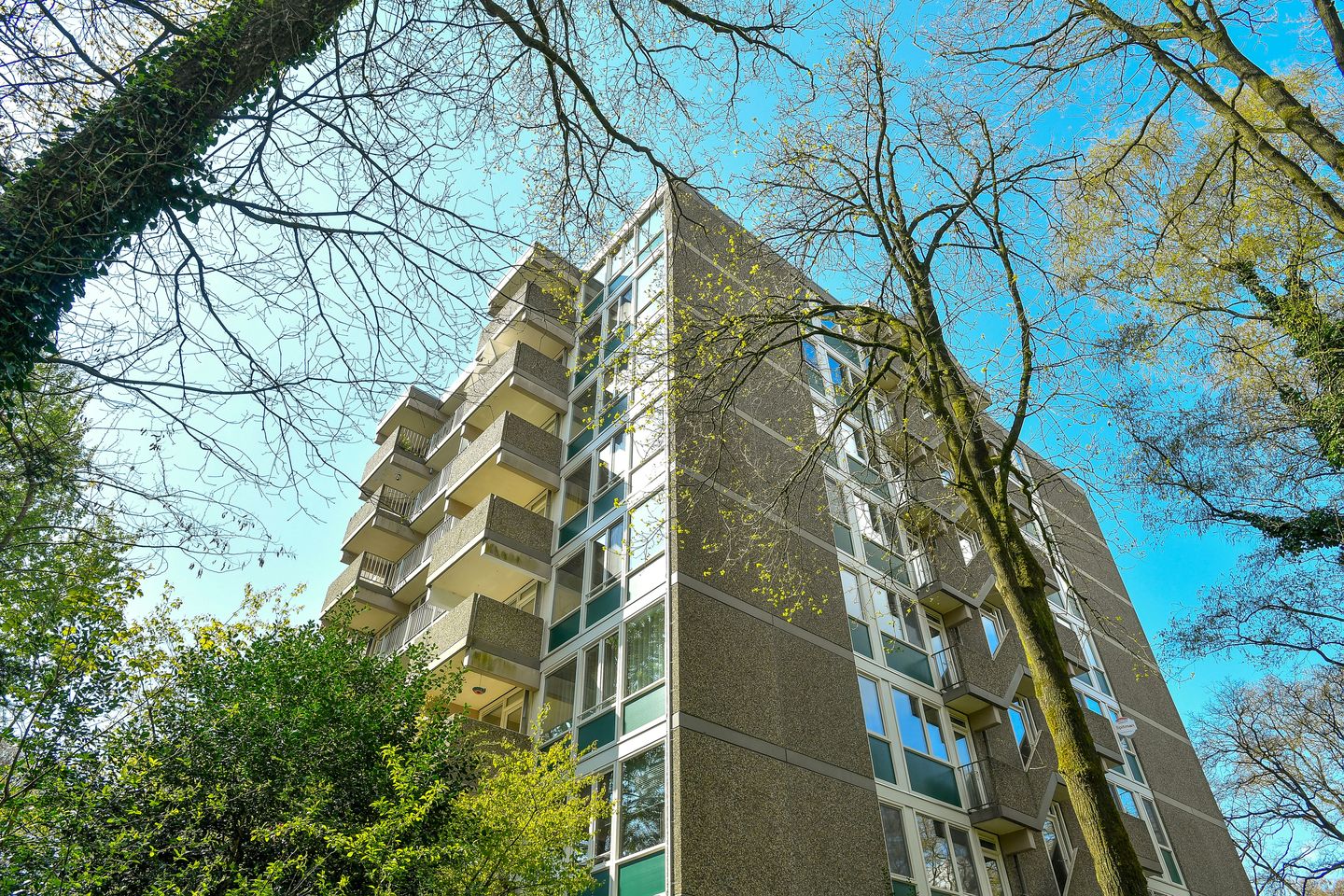 Foto 5 van Koningsberg 16